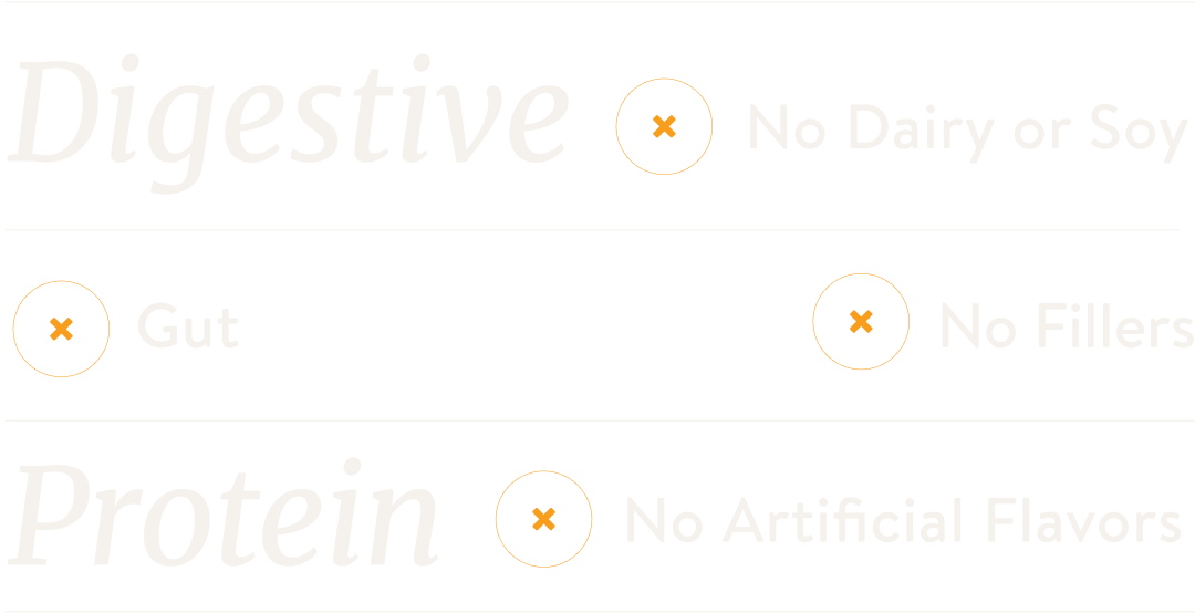 Digestive Support Protein, No Dairy or Soy