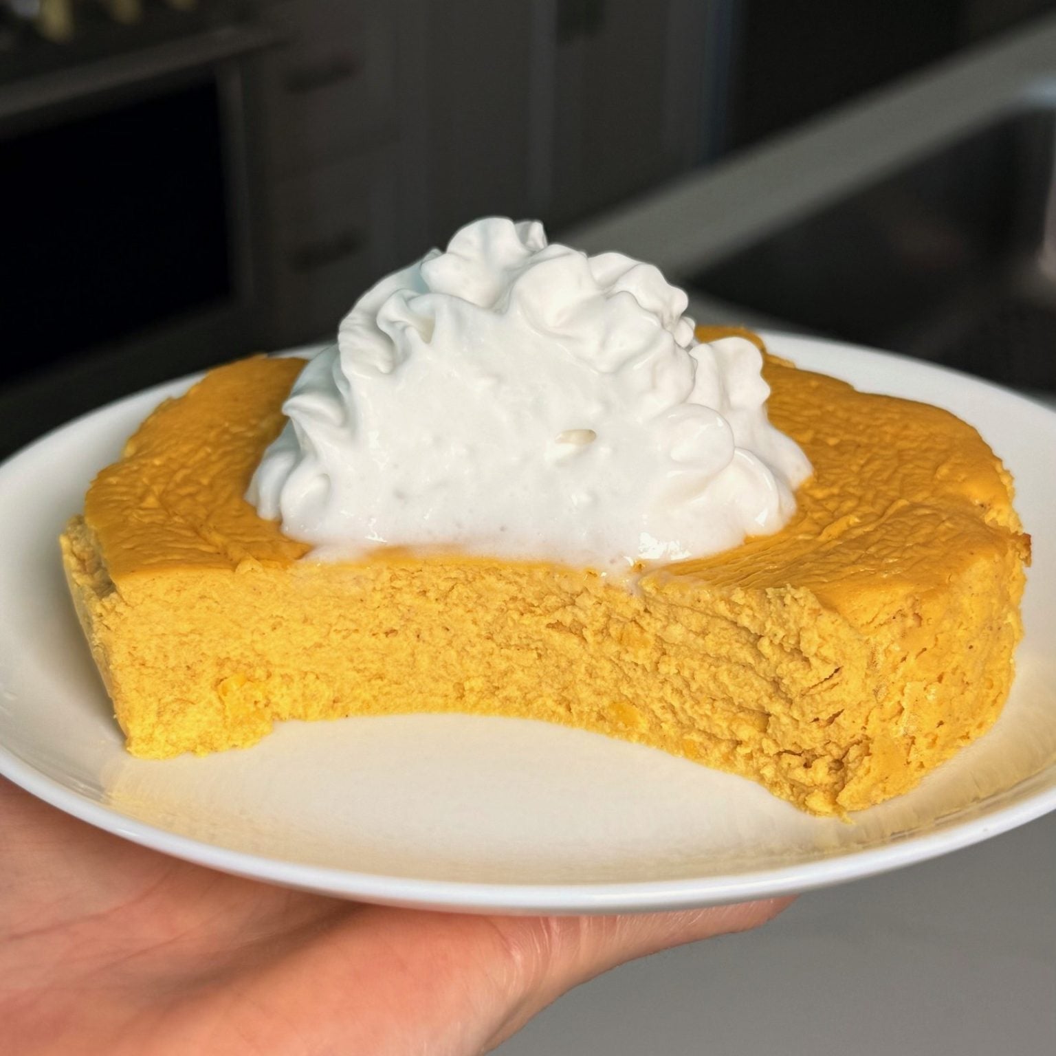 Blender Protein Pumpkin Cheesecake