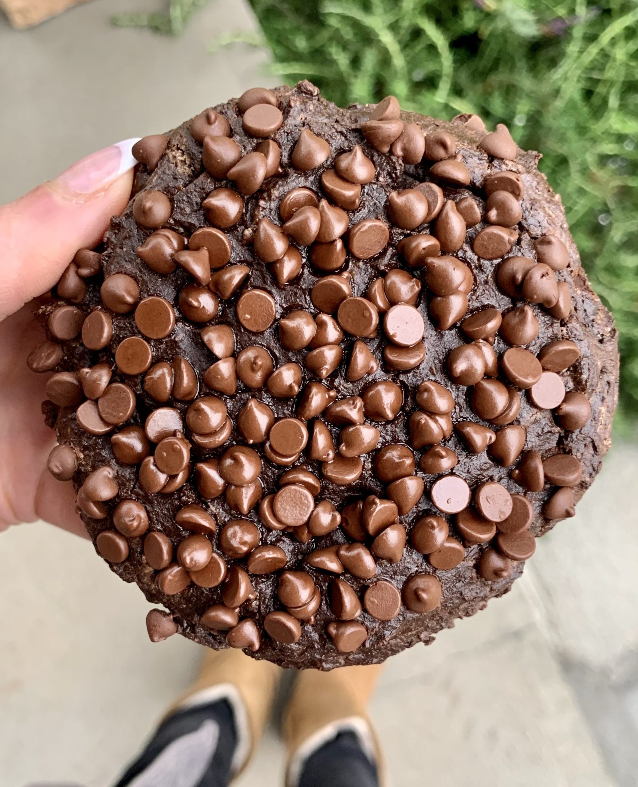 Giant Double Chocolate Chip Cookie for One (High Protein, Gluten-Free)