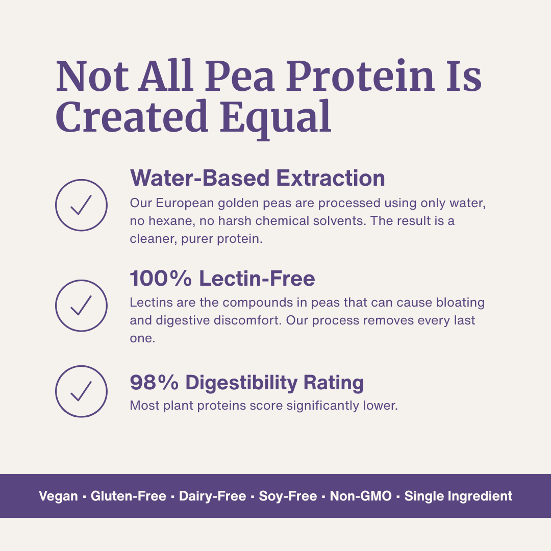 Bethany’s Protein Bake infographic - water-based extraction, 100% lectin-free, 98% digestible plant protein