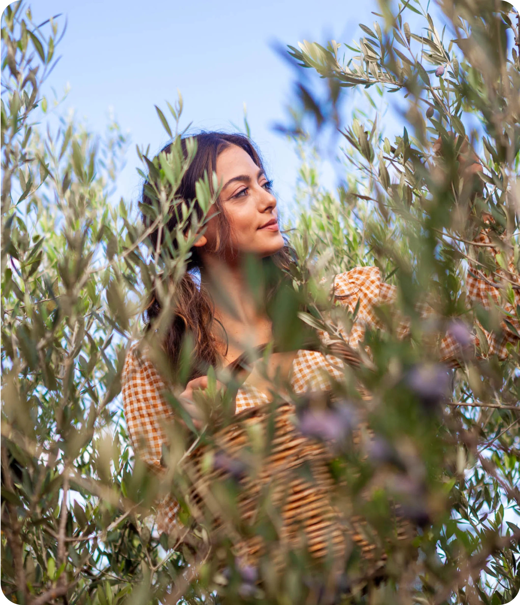 Taste the Difference.: Quality at Every Stage. image