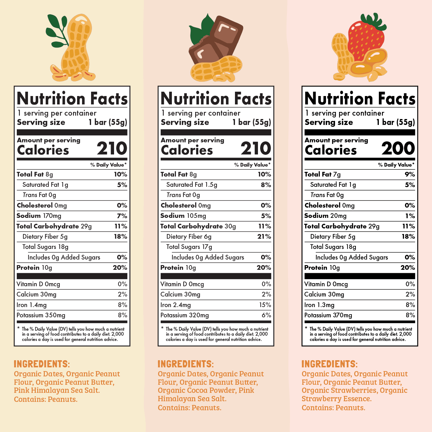 Skout Organic Peanut Butter Protein Bar Bundle